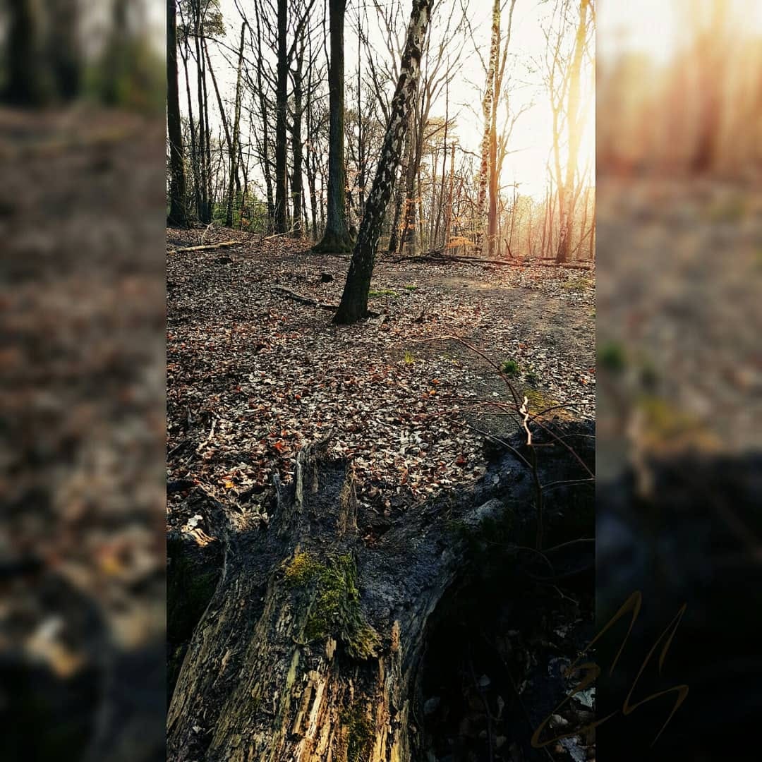 Post 5 by E.G. on Instagram (image)