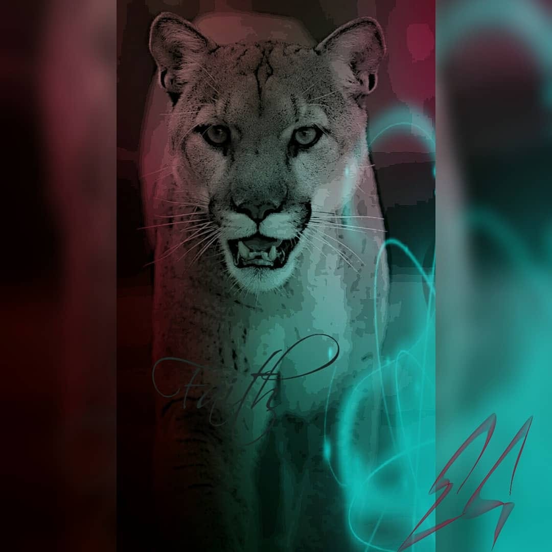 Post 8 by E.G. on Instagram (image)