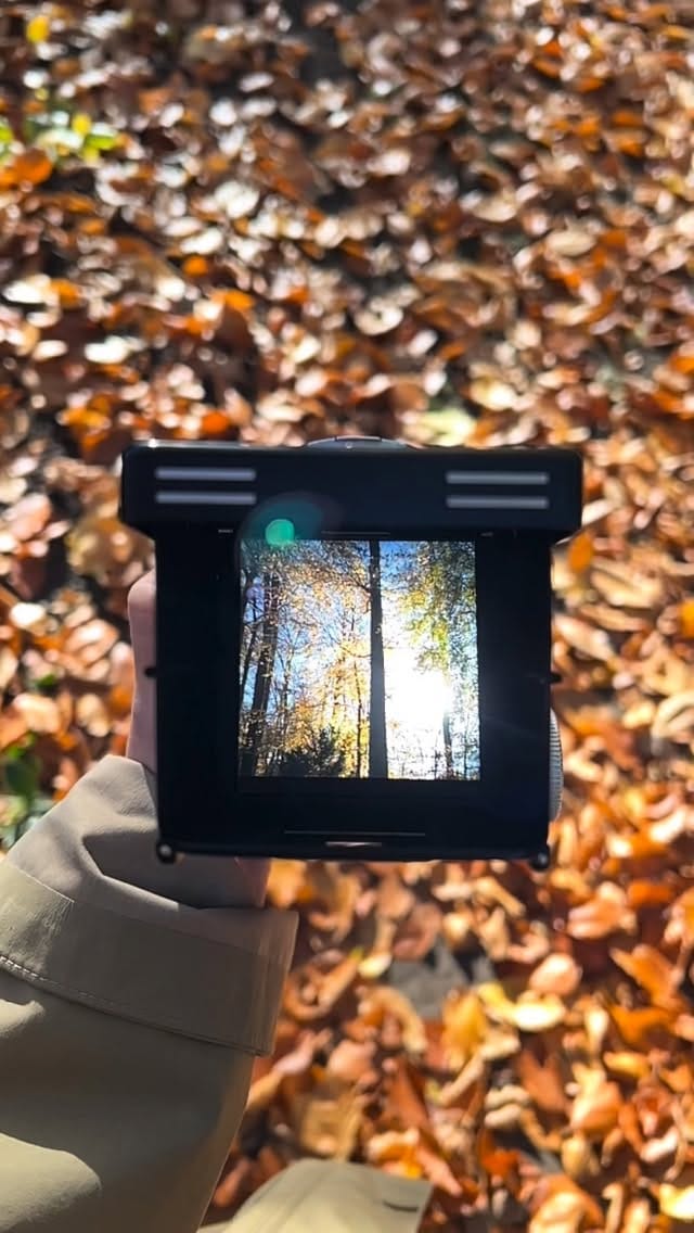 Post 6 by MAGICFLEXCAMERA on Instagram (video)