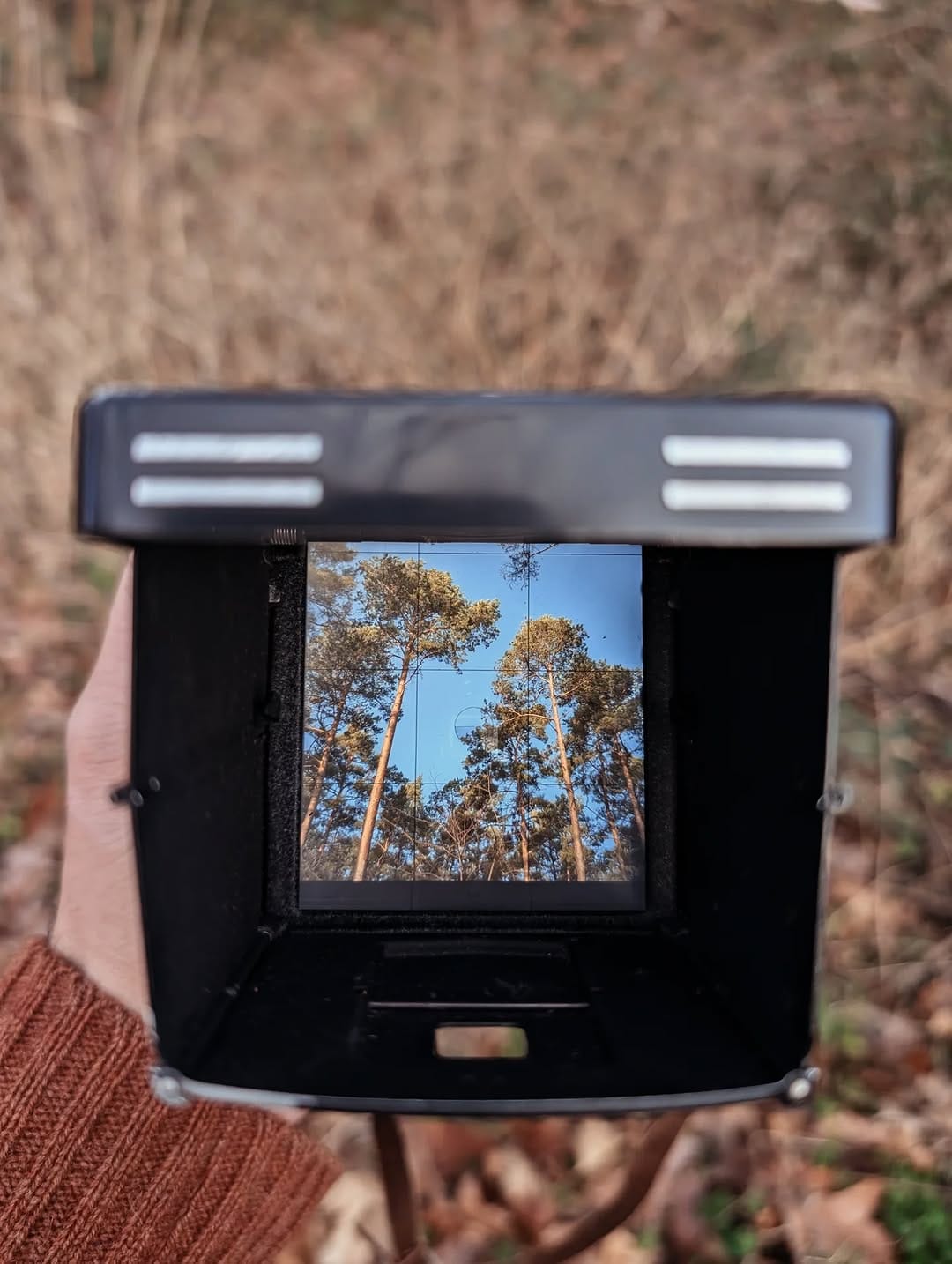 Post 2 by MAGICFLEXCAMERA on Instagram (image)
