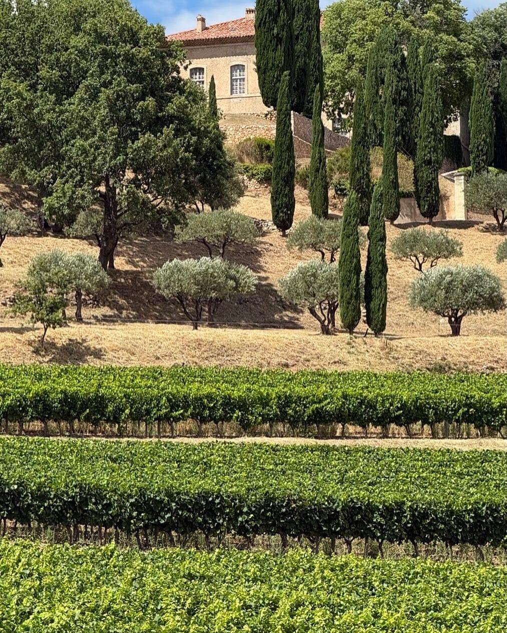 Post 3 by Château de Moissac-Bellevue on Instagram (image)