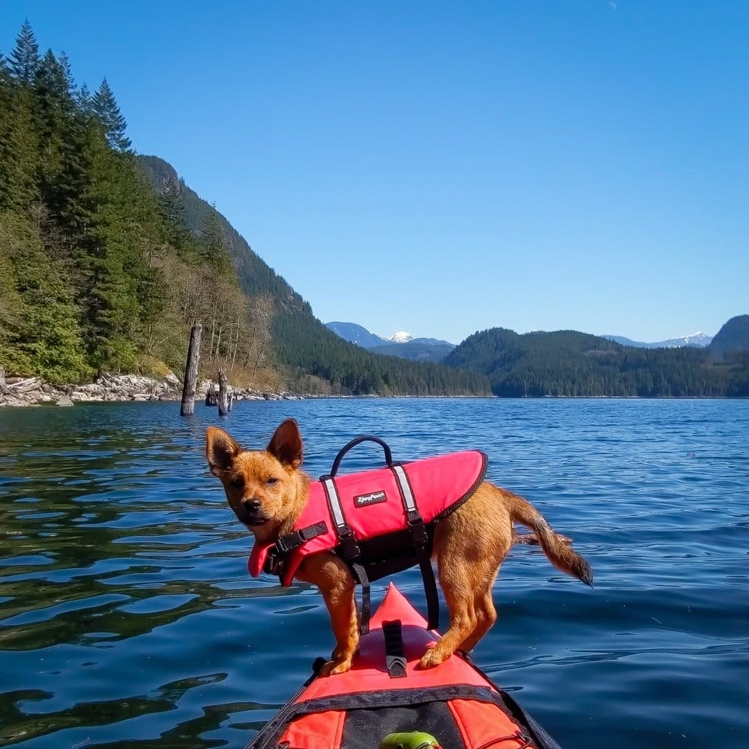 Post 8 by Tim Furness | Travel 🇨🇦 on Instagram (carousel)