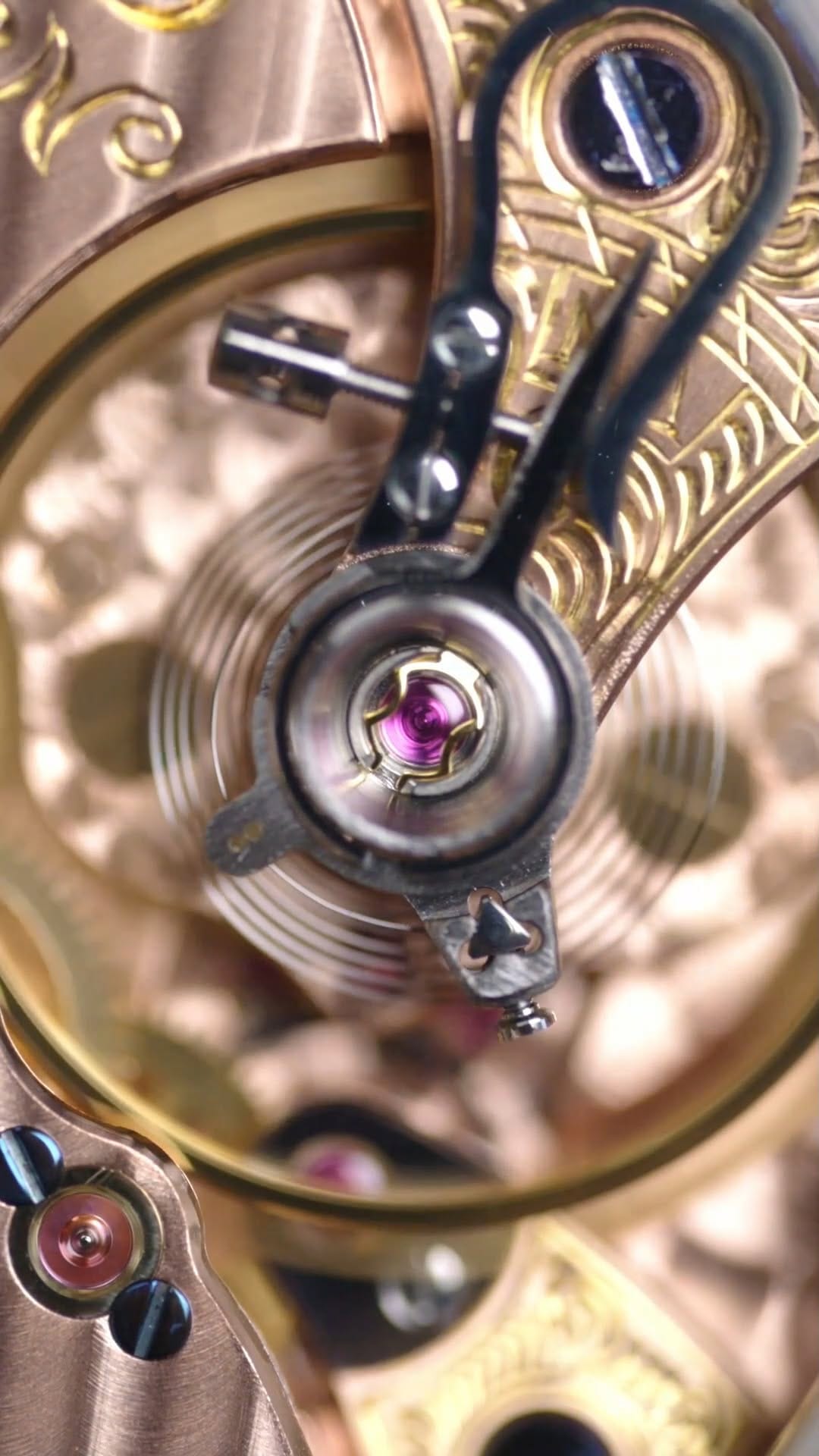 Post 9 by D. Dornblüth und Sohn on Instagram (video)