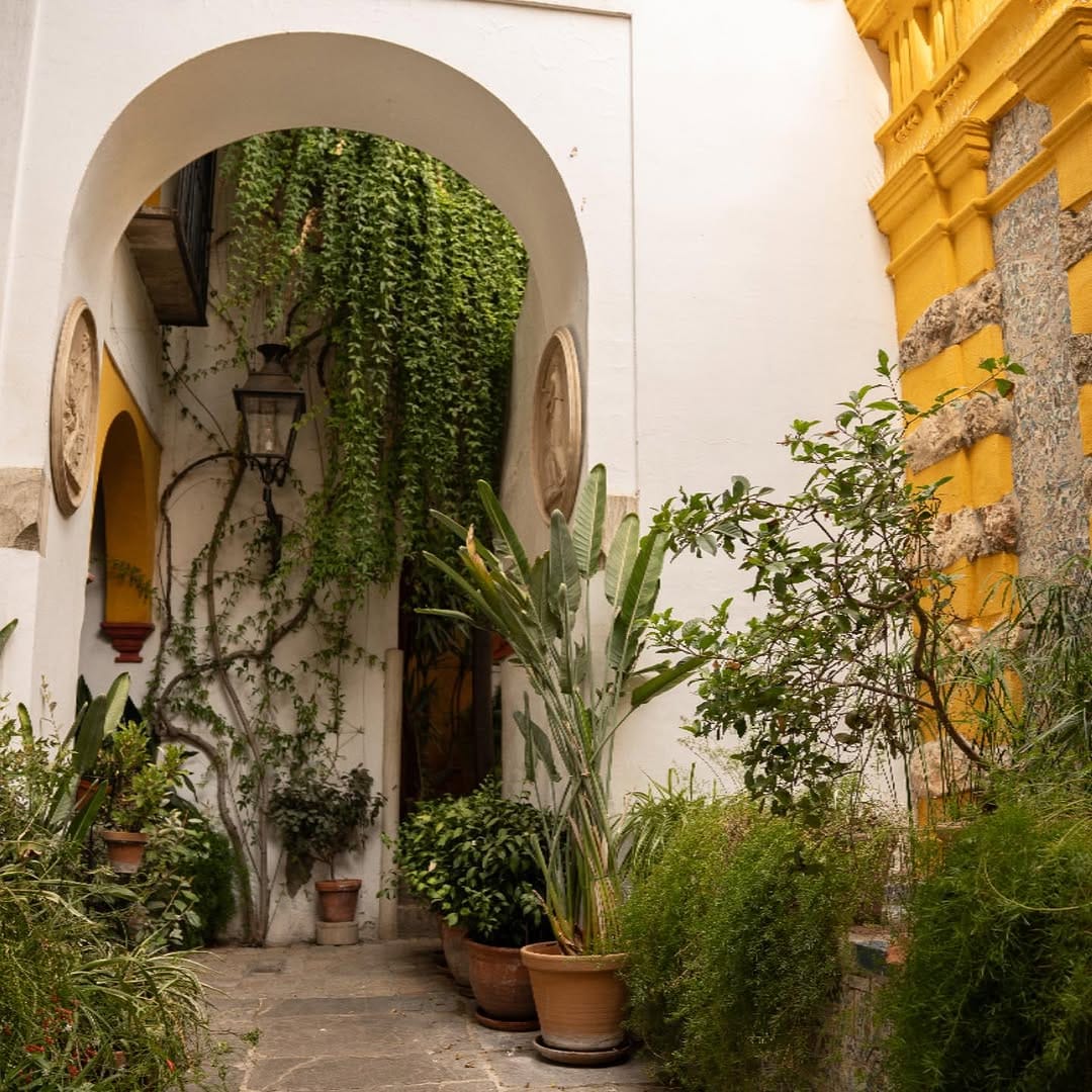 Post 9 by Hotel Las Casas De Las Juderia on Instagram (image)