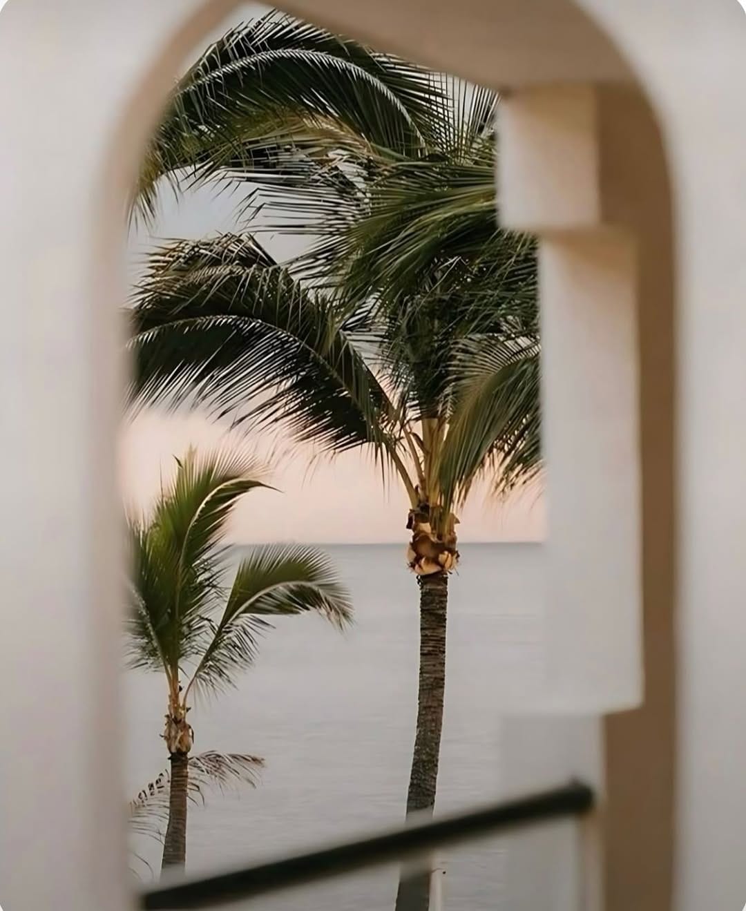 Post 10 by Noumea on Instagram (image)