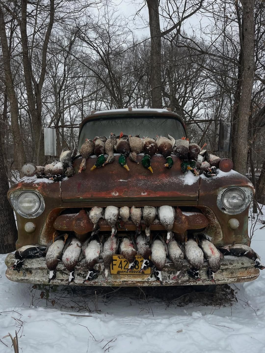 Post 1 by @dirty_delta_outfitters on Instagram (image)