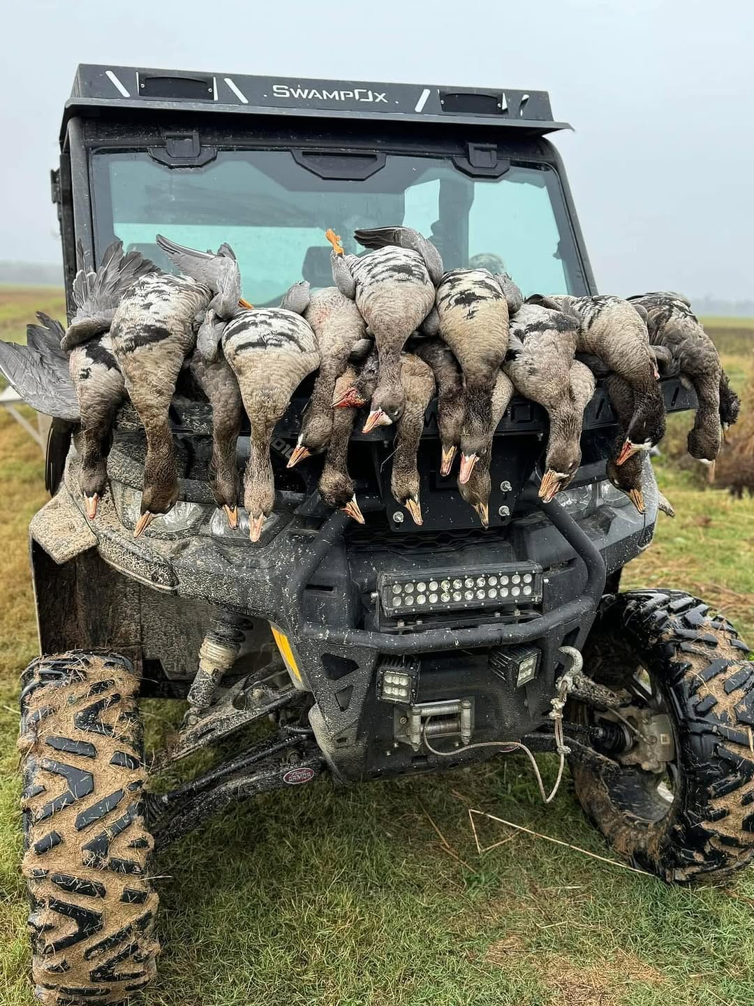 Post 3 by @dirty_delta_outfitters on Instagram (carousel)