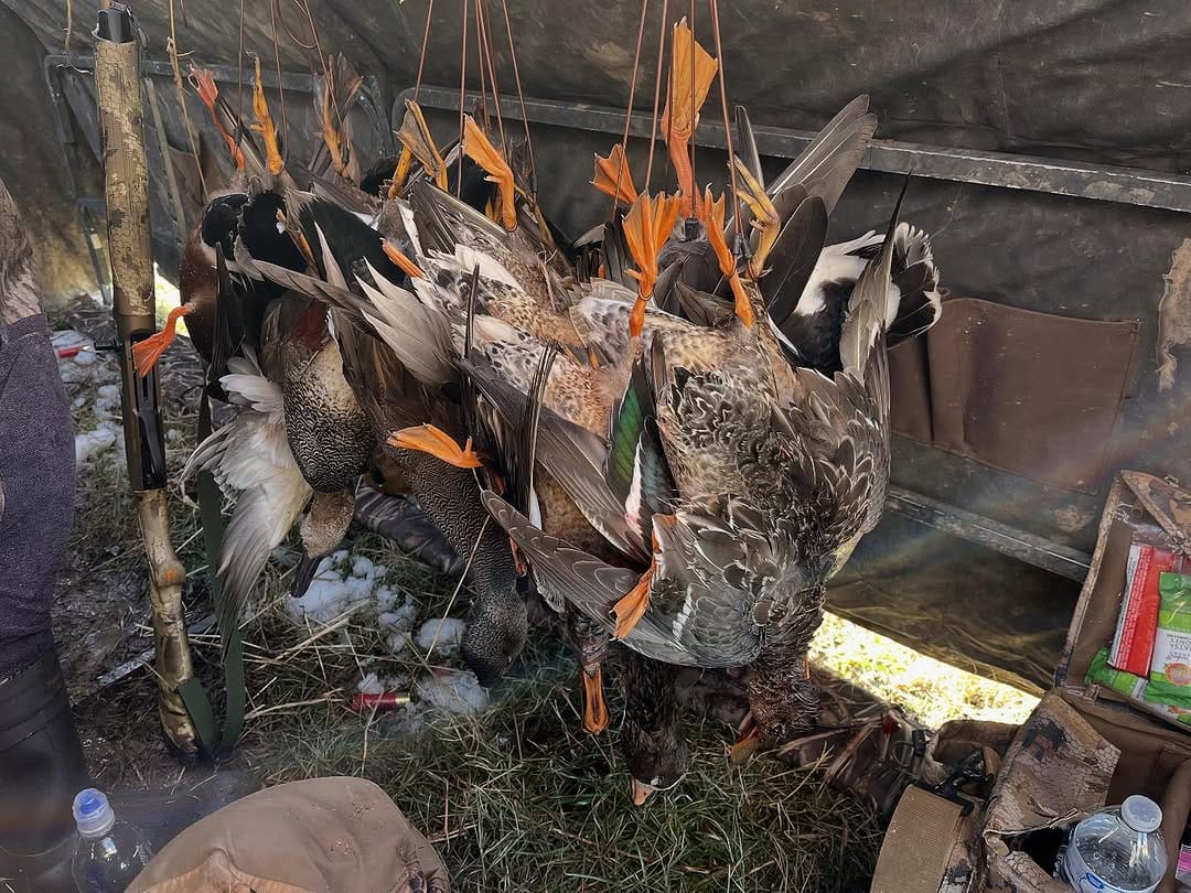 Post 5 by @dirty_delta_outfitters on Instagram (image)
