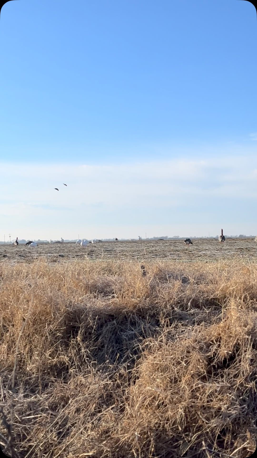 Post 7 by @dirty_delta_outfitters on Instagram (video)
