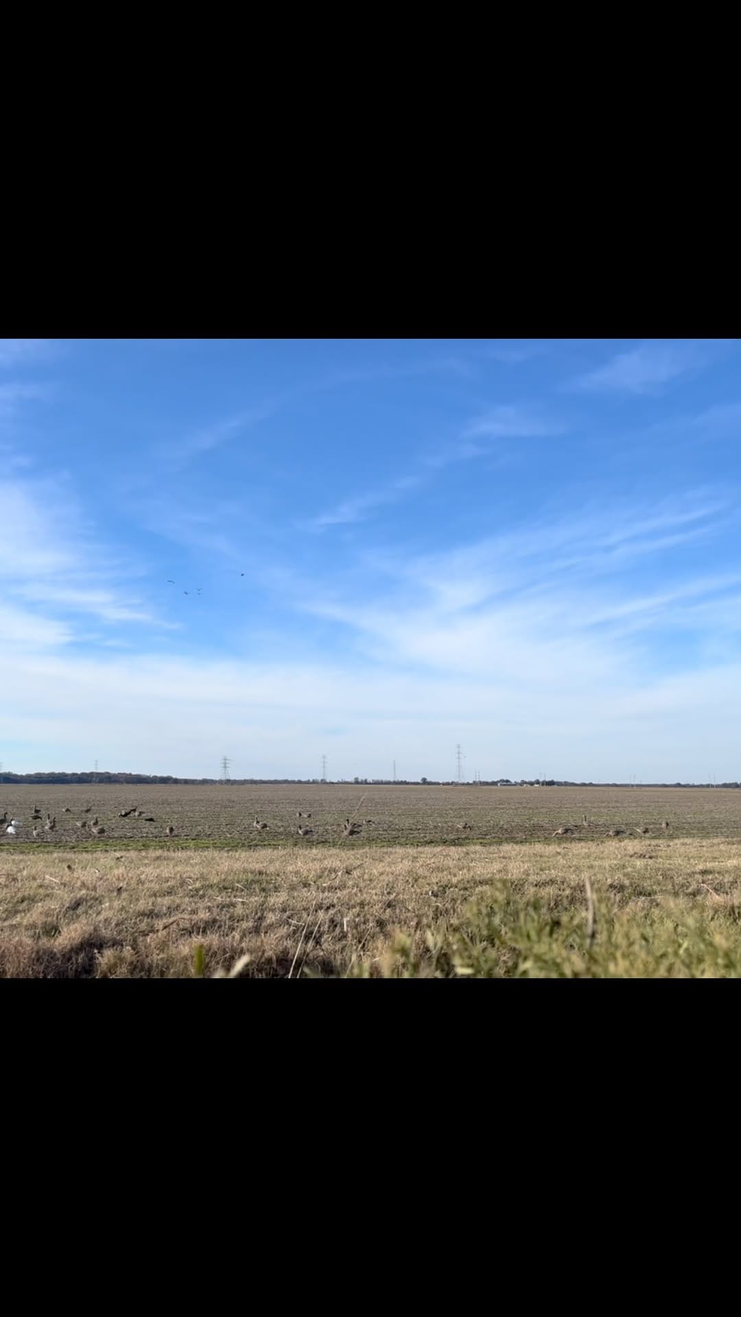 Post 2 by @dirty_delta_outfitters on Instagram (video)
