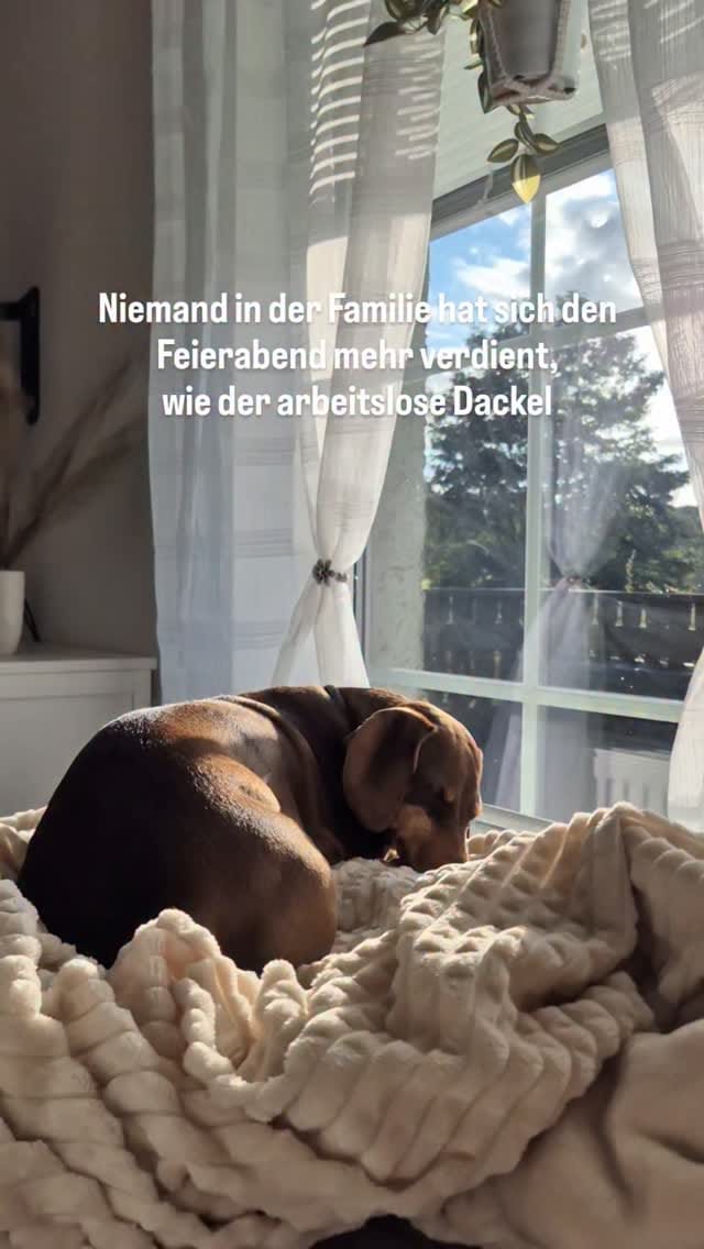 Post 1 by IDA 🤍 Vio im Herzen on Instagram (video)