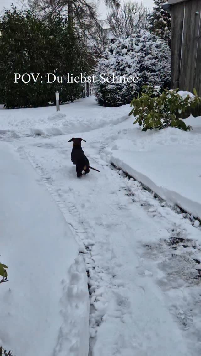 Post 10 by IDA 🤍 Vio im Herzen on Instagram (video)