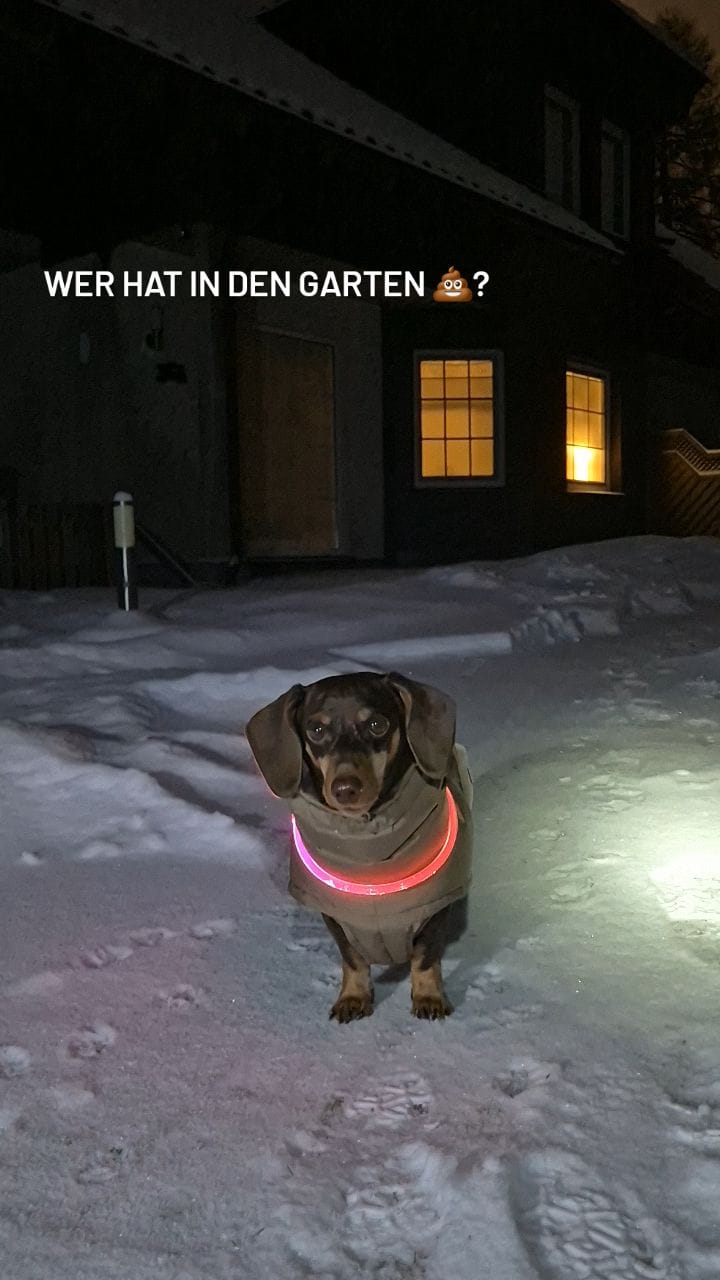 Post 2 by IDA 🤍 Vio im Herzen on Instagram (video)