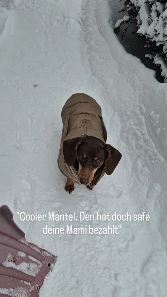 Post 7 by IDA 🤍 Vio im Herzen on Instagram (video)