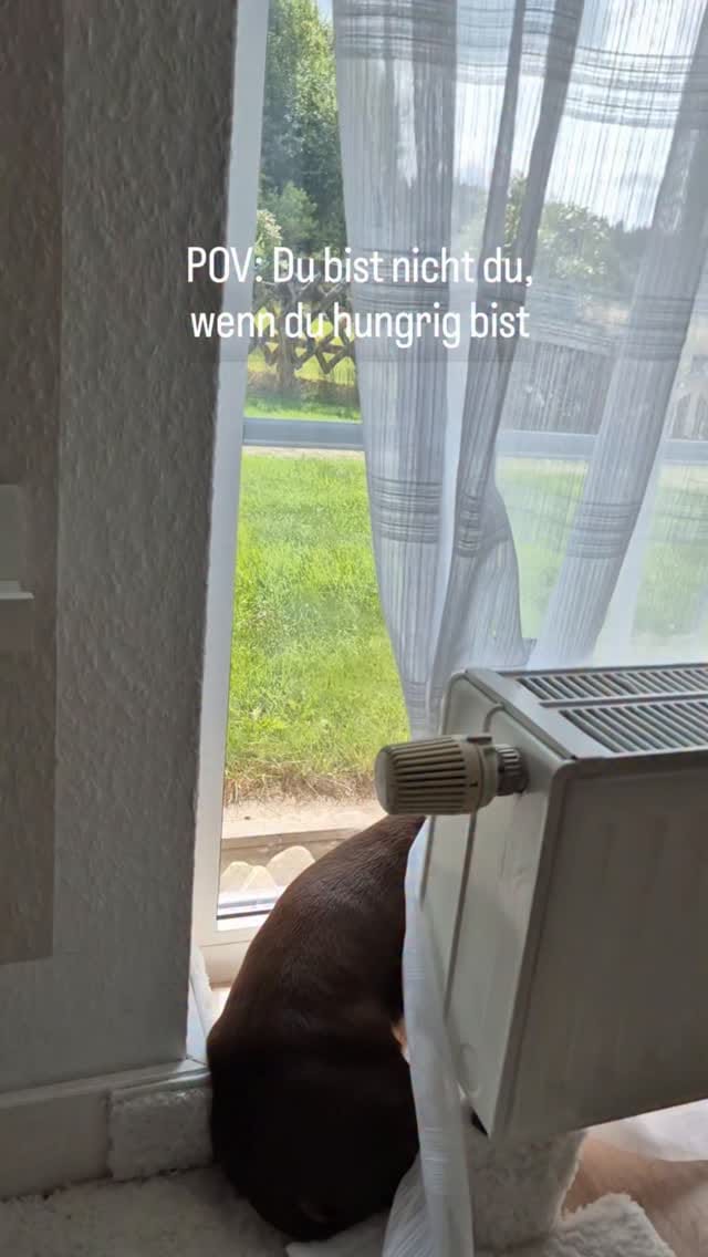 Post 5 by IDA 🤍 Vio im Herzen on Instagram (video)