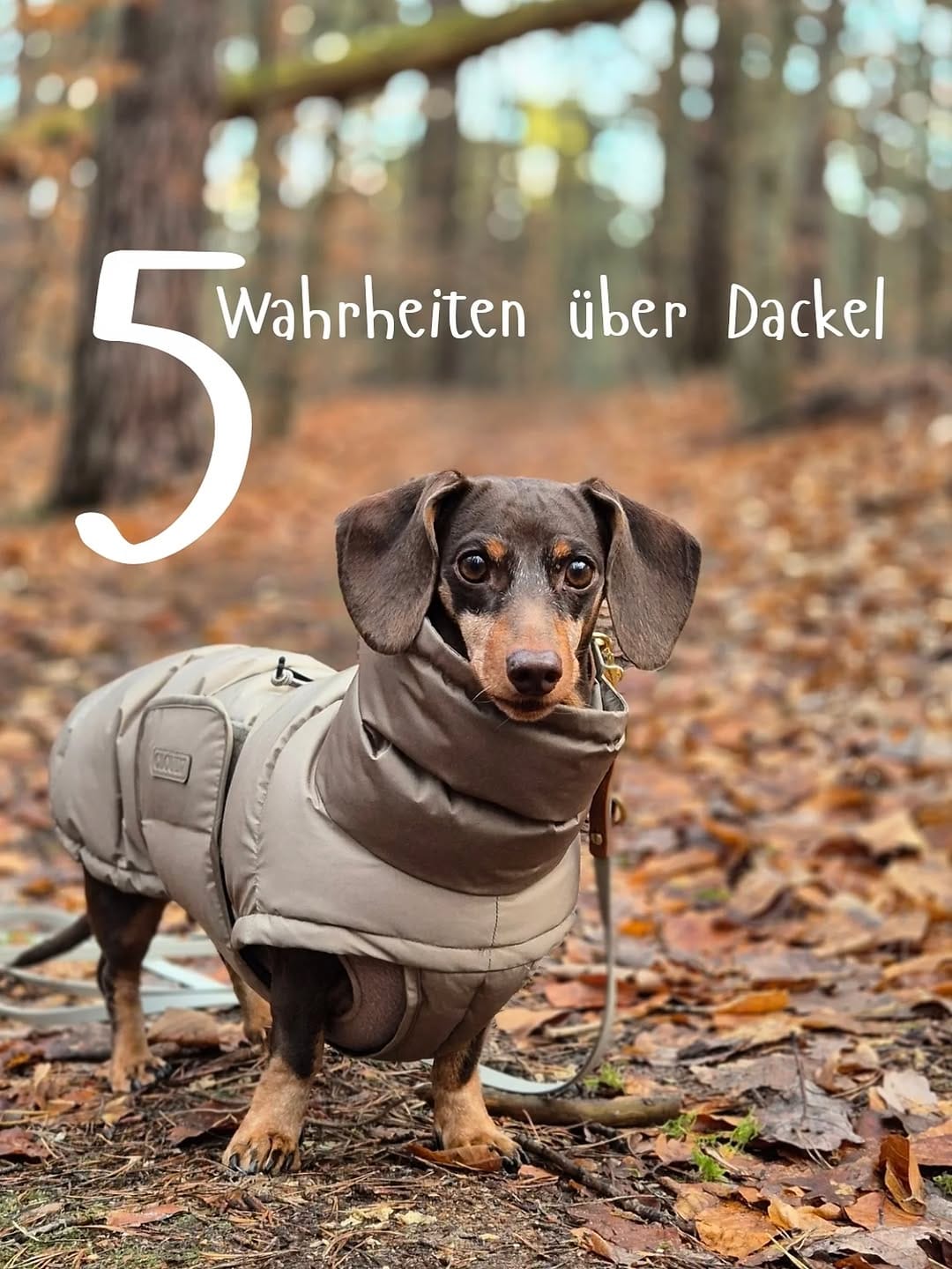 Post 3 by IDA 🤍 Vio im Herzen on Instagram (carousel)
