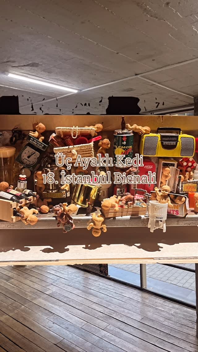 Post 4 by Duygu Yapıcıoğlu on Instagram (video)