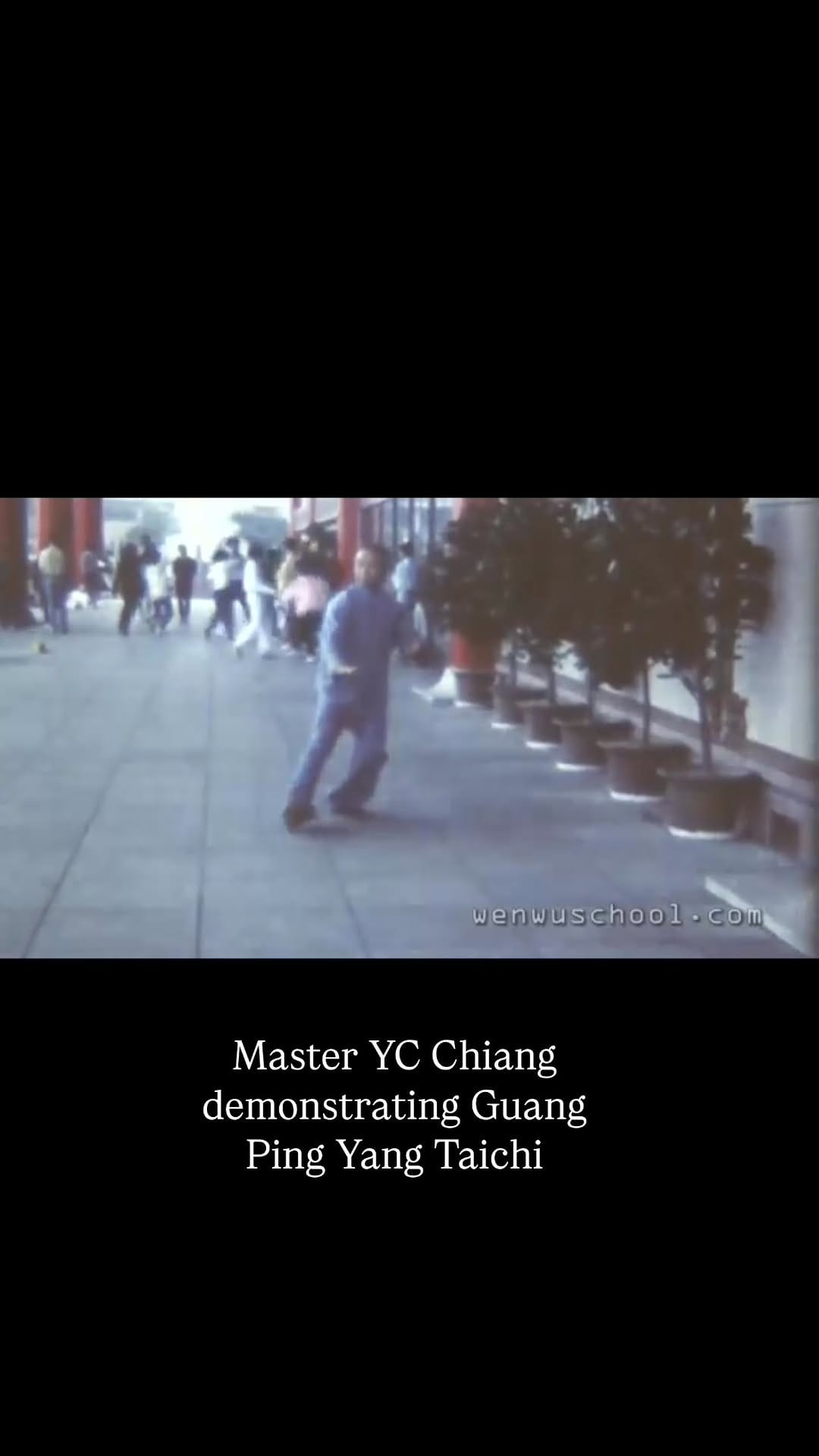 Post 3 by Essential taichi on Instagram (video)