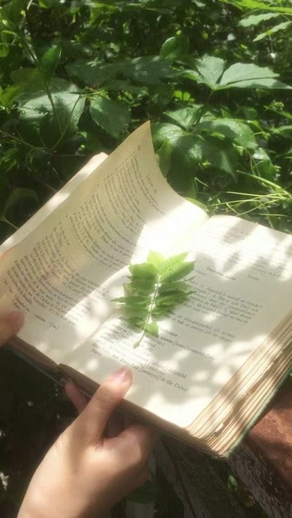 Post 1 by handgeschriebenVERLAG on Instagram (video)