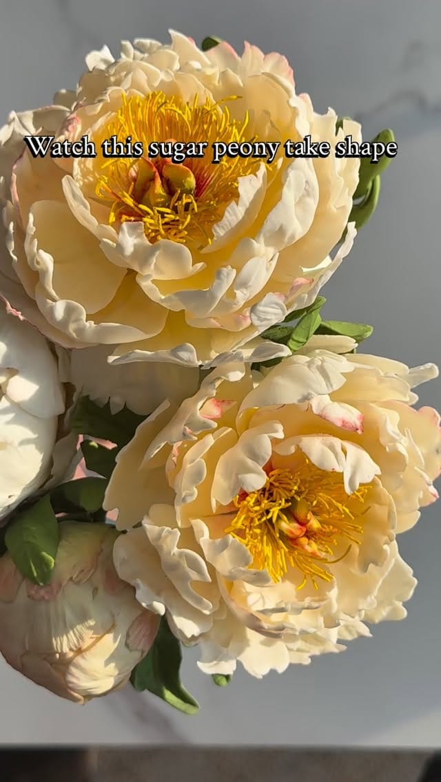 Post 2 by Bella Sugar Flowers on Instagram (video)