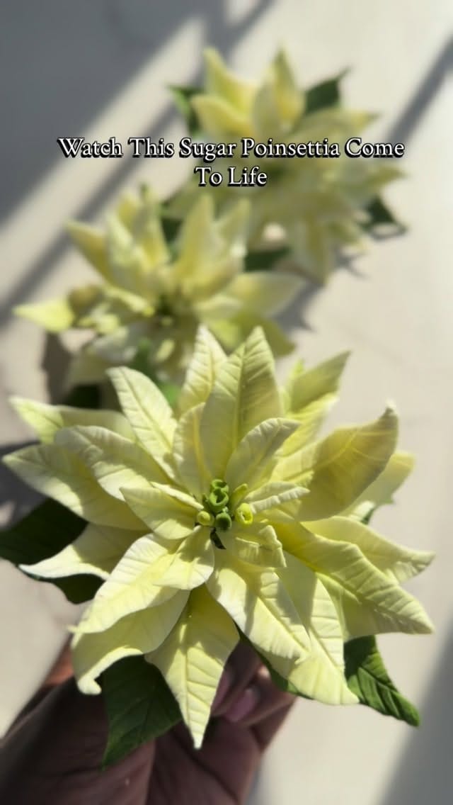 Post 3 by Bella Sugar Flowers on Instagram (video)