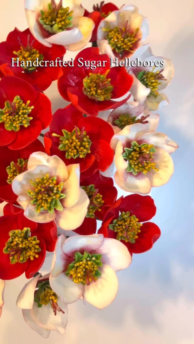 Post 8 by Bella Sugar Flowers on Instagram (video)