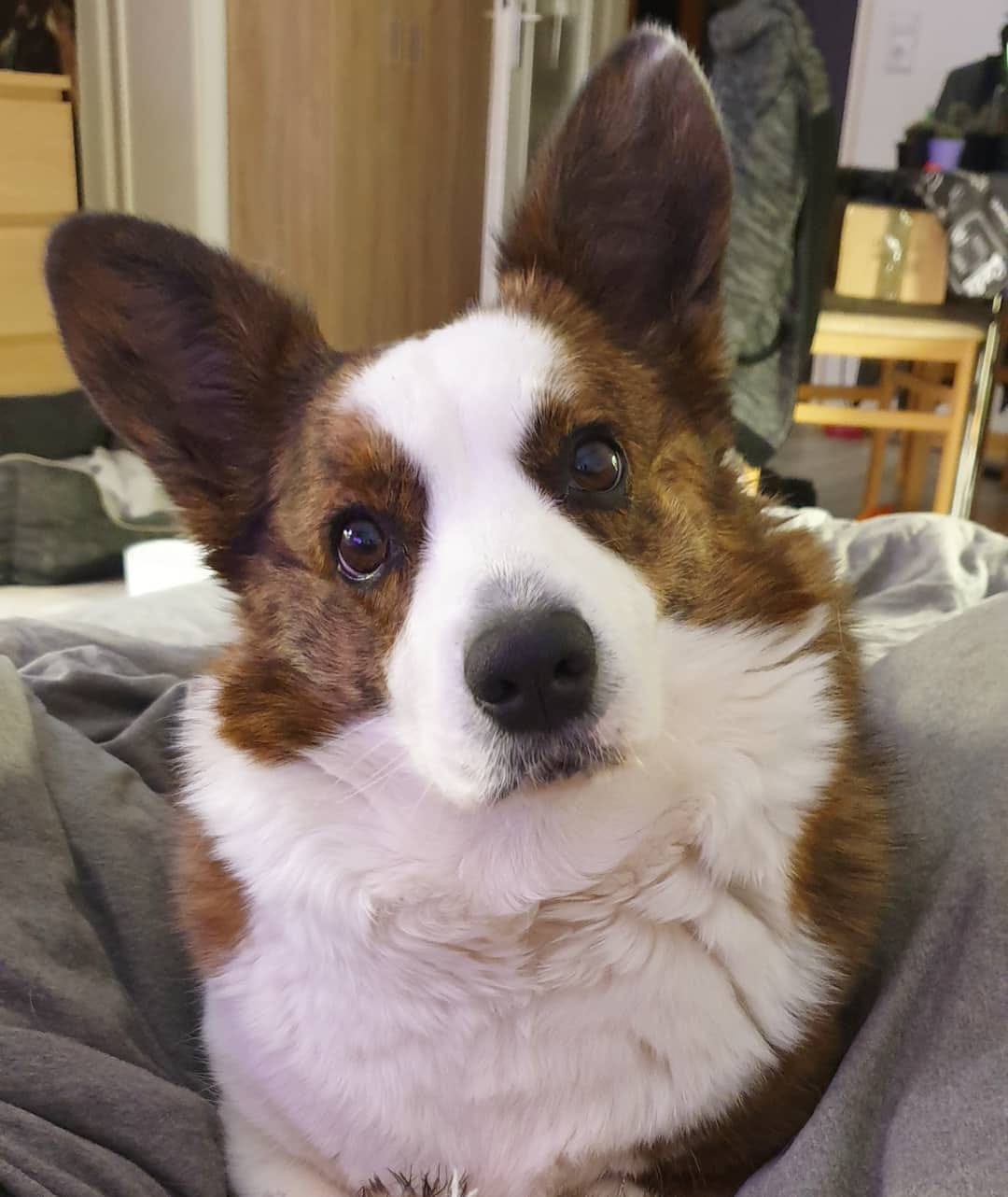 Post 2 by Pixie 💞 on Instagram (image)