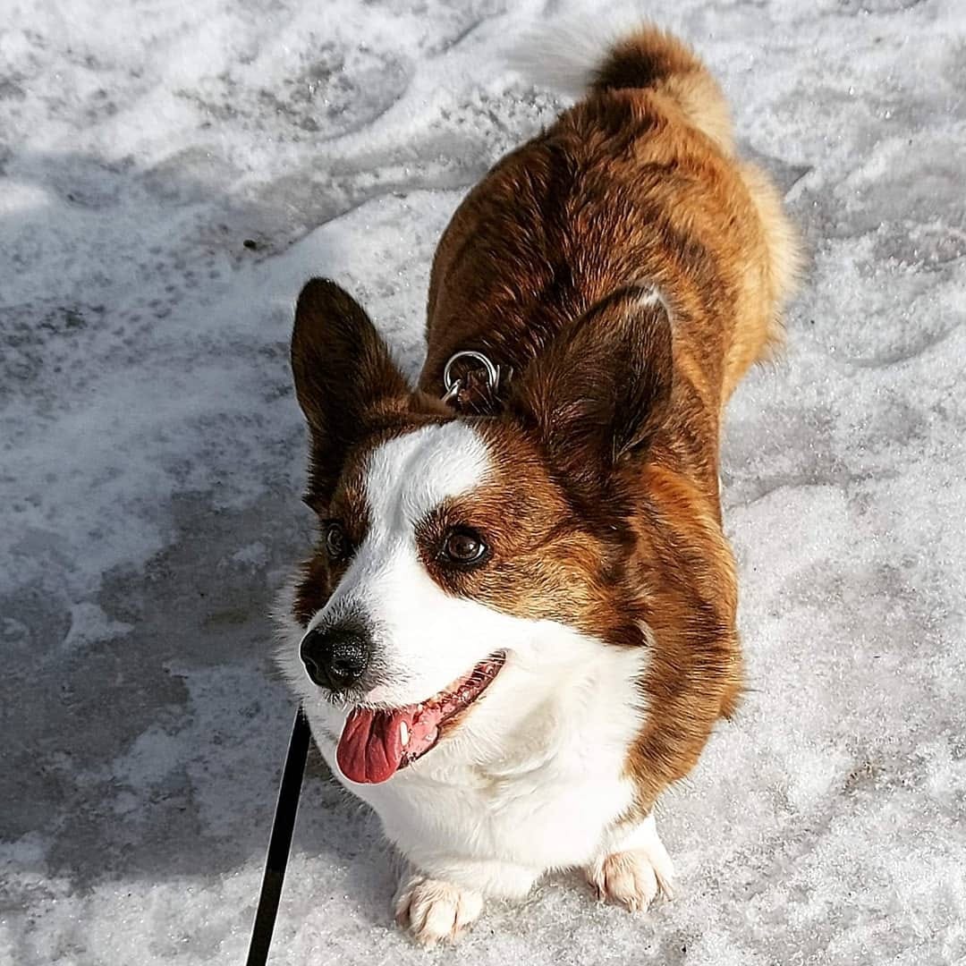 Post 10 by Pixie 💞 on Instagram (image)