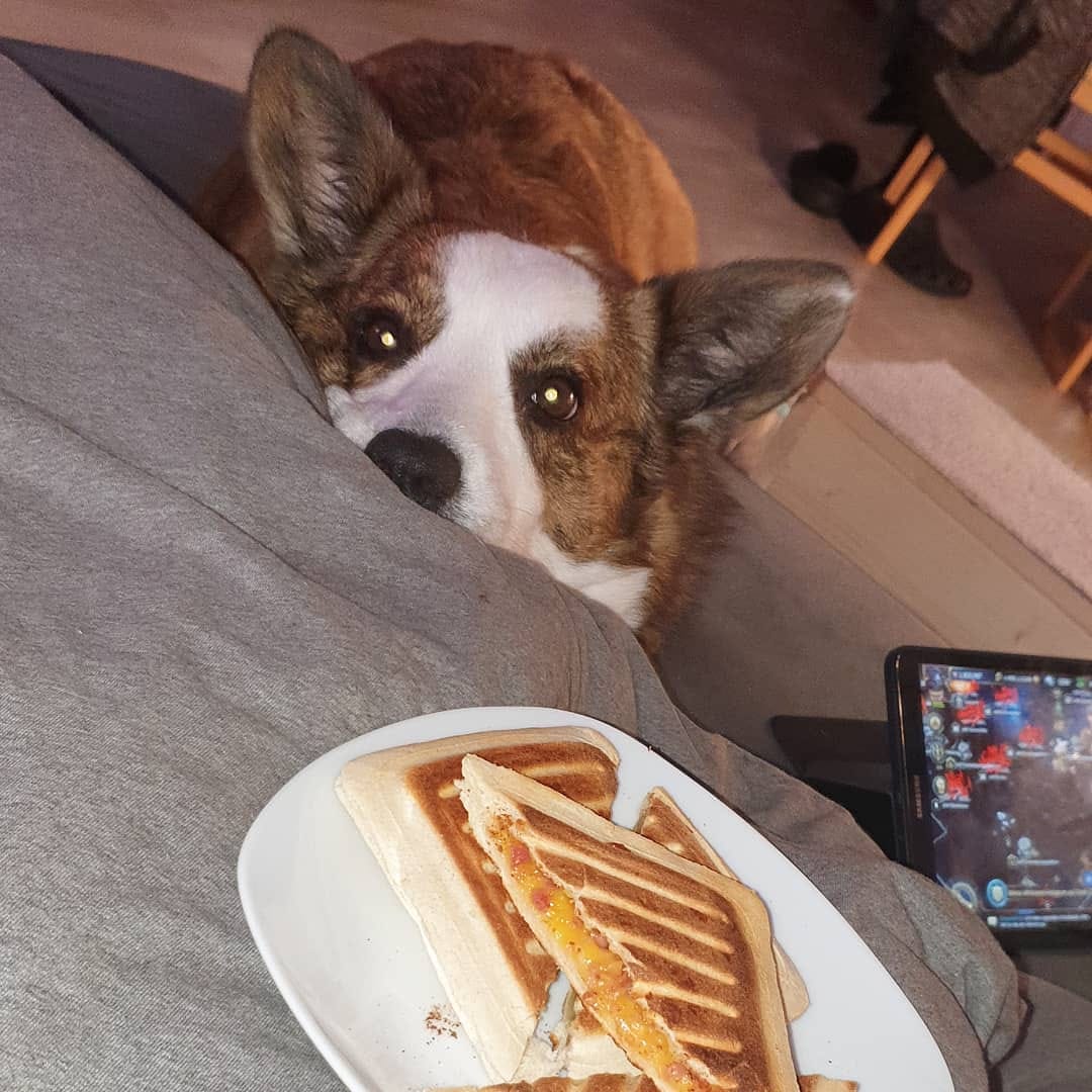 Post 6 by Pixie 💞 on Instagram (image)