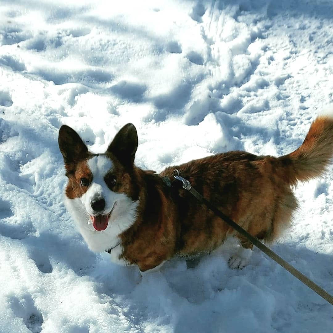 Post 4 by Pixie 💞 on Instagram (image)