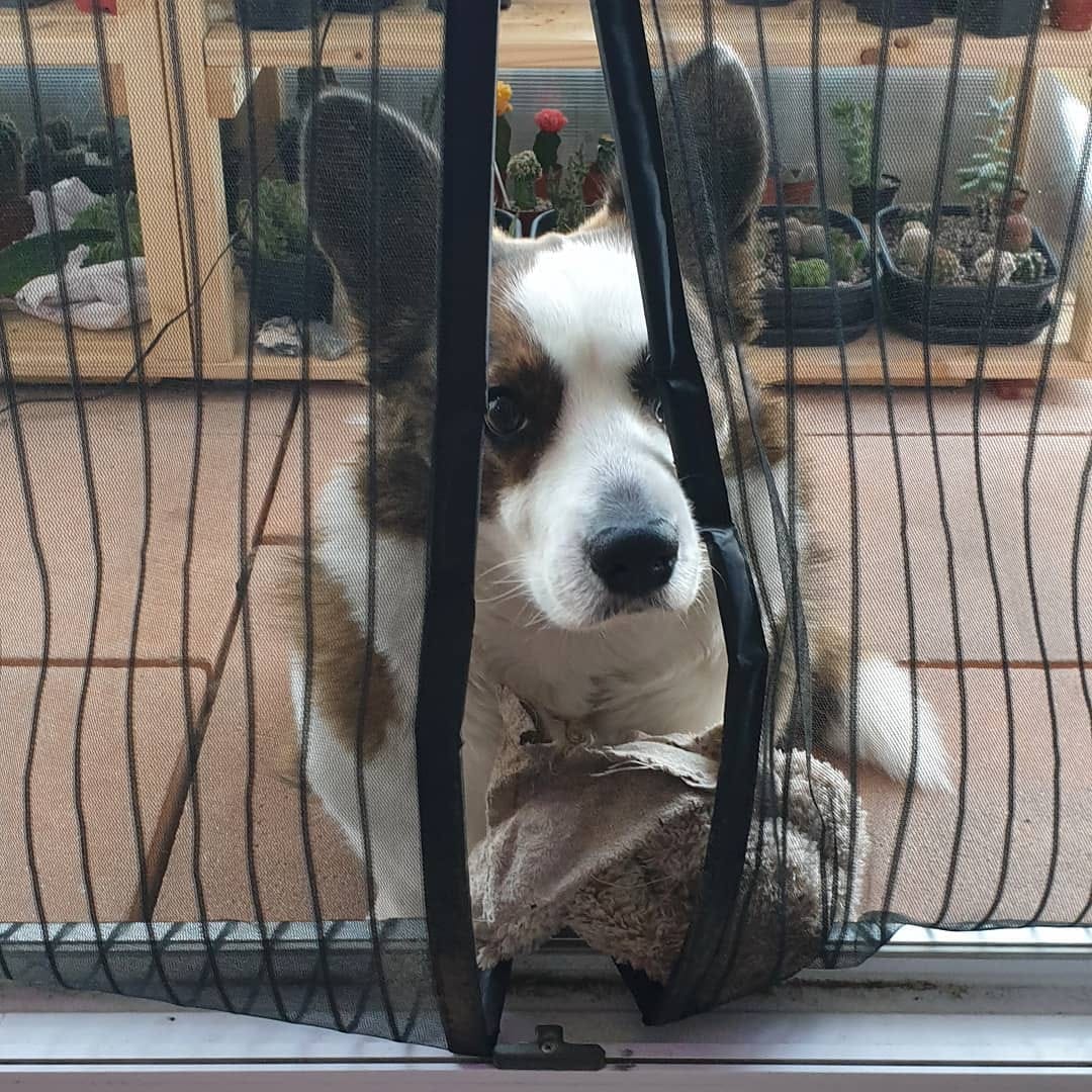 Post 3 by Pixie 💞 on Instagram (image)