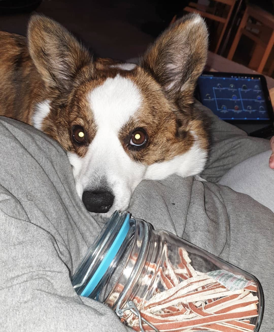 Post 9 by Pixie 💞 on Instagram (image)