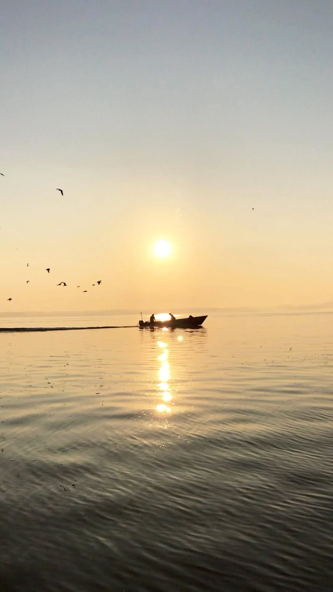 Post 8 by F I S C H E R E I       L E X on Instagram (video)
