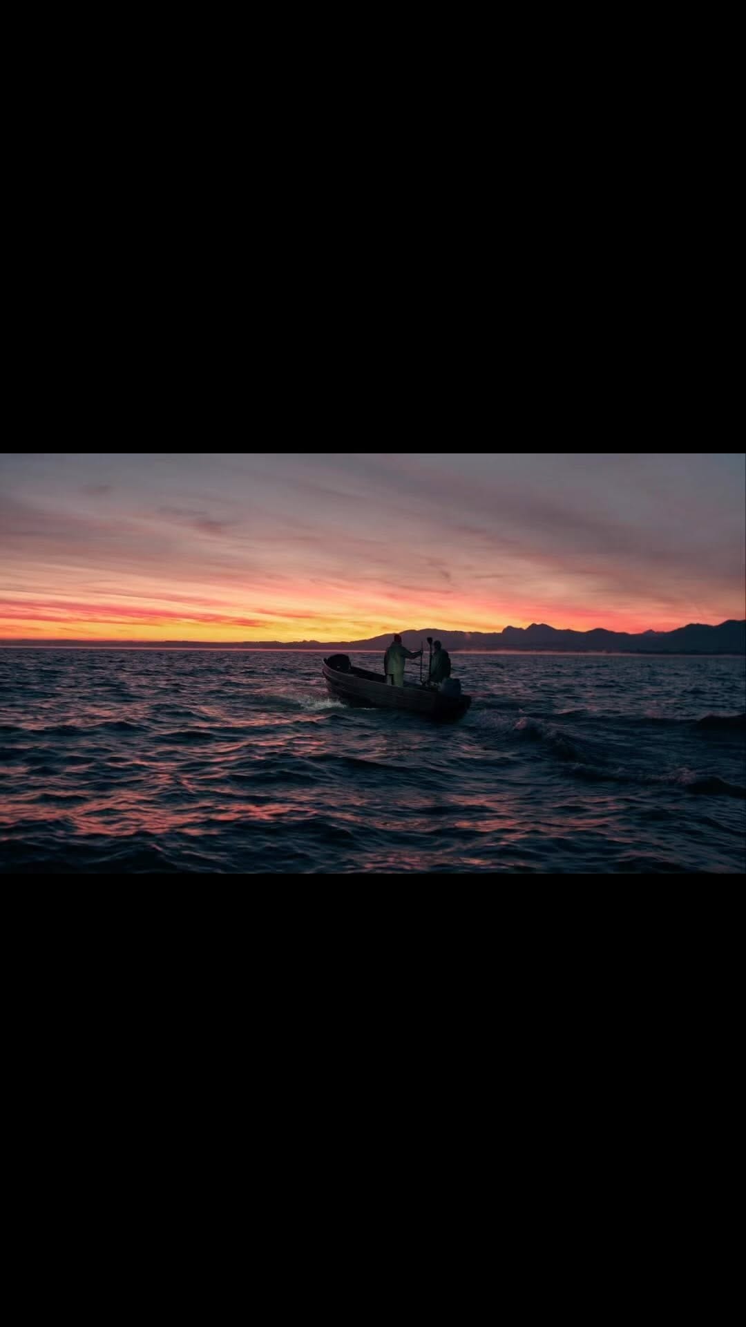Post 7 by F I S C H E R E I       L E X on Instagram (video)