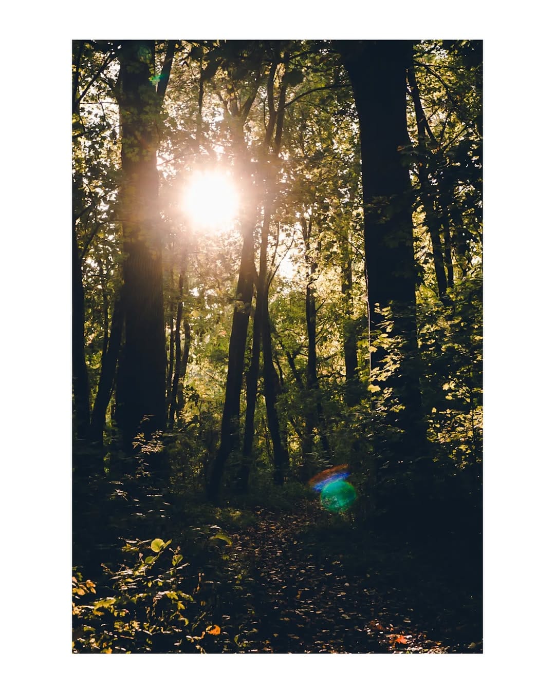 Post 2 by Sebastian Lücke on Instagram (image)