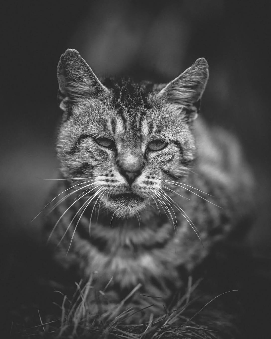 Post 7 by Sebastian Lücke on Instagram (image)