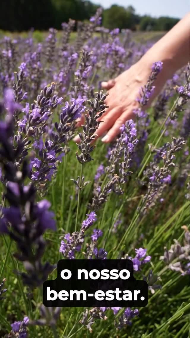 Post 10 by Mirela Benvenuti Chaves on Instagram (video)
