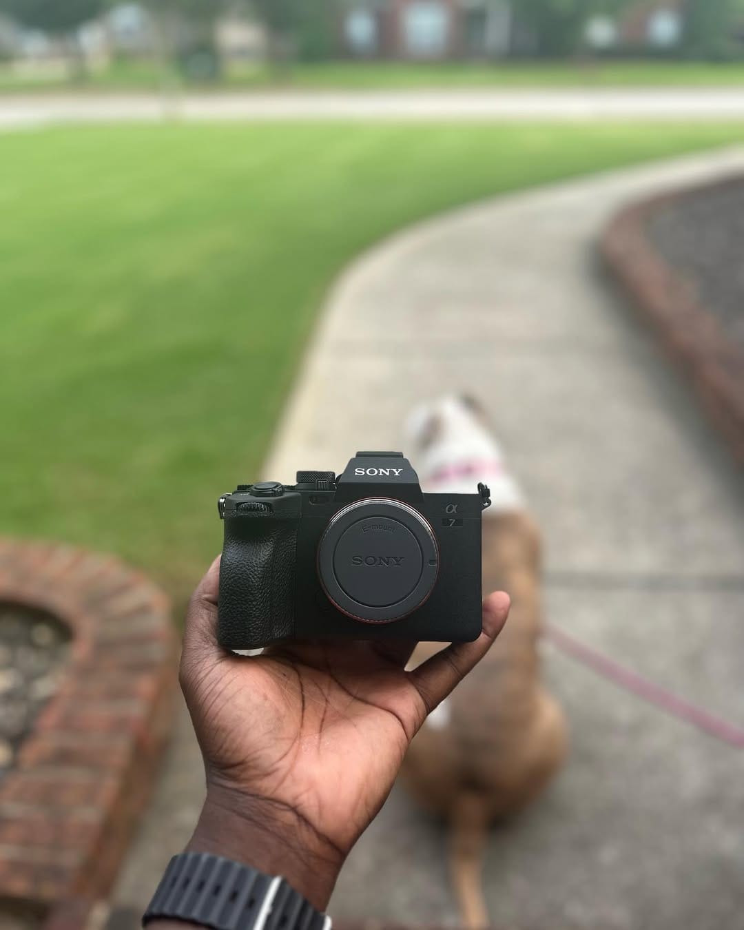 Post 6 by Jae Michael on Instagram (image)
