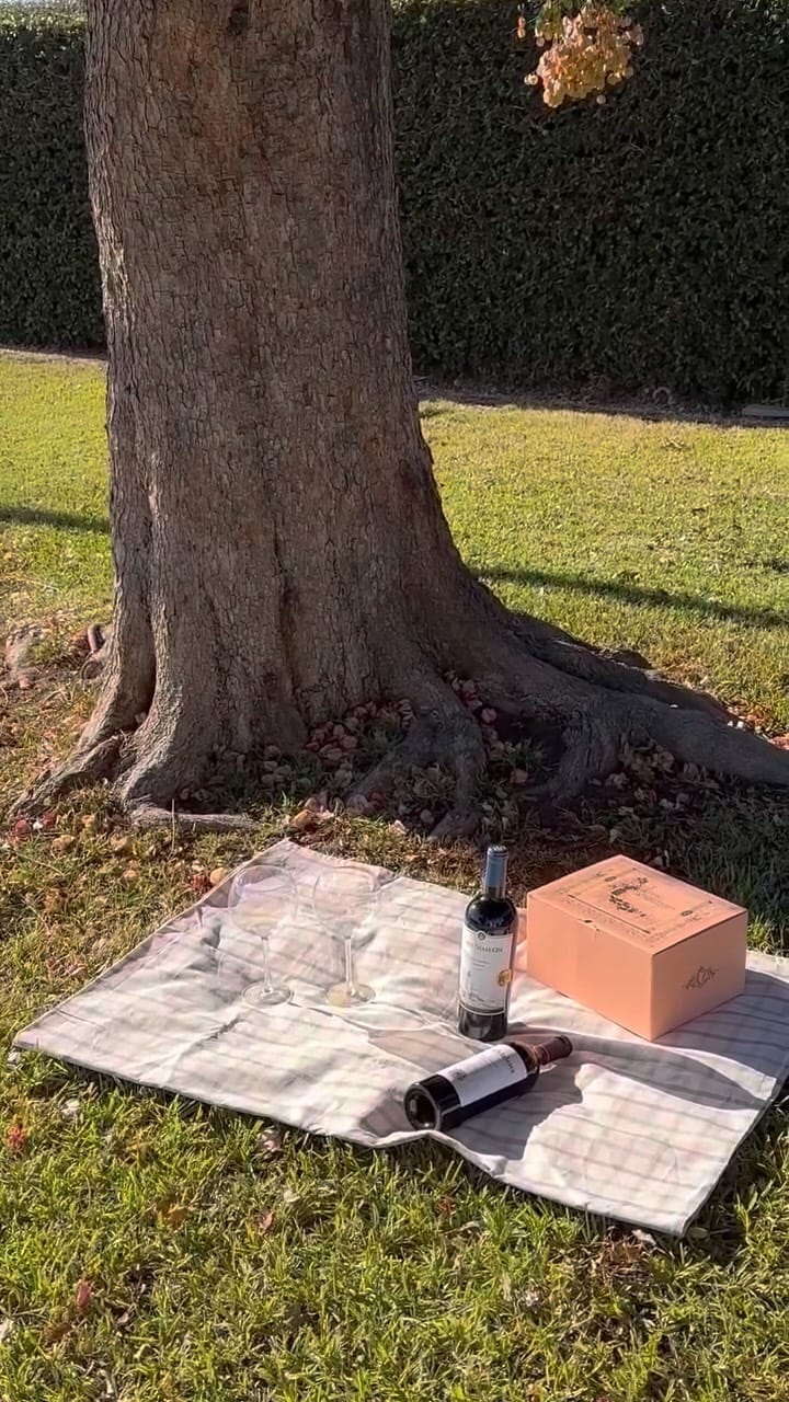 Post 10 by 프랑스샤토 on Instagram (video)