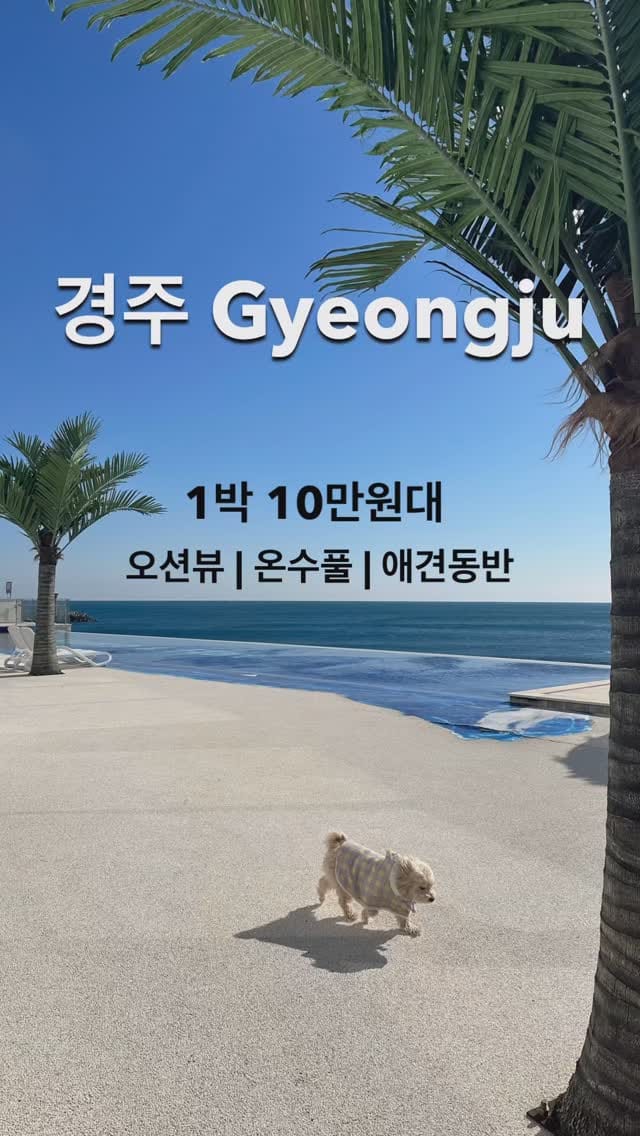 Post 4 by 프랑스샤토 on Instagram (video)