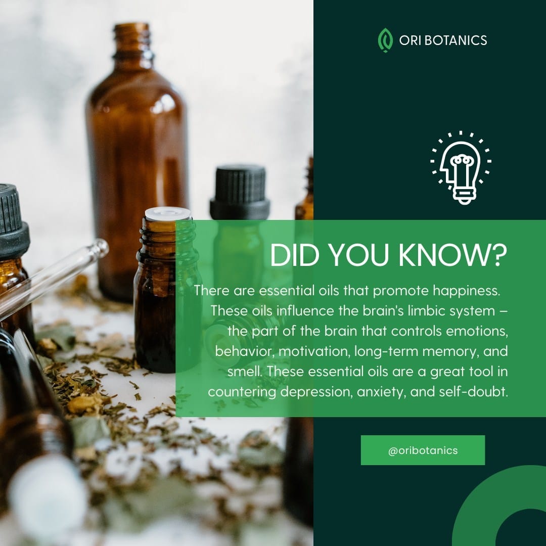Post 10 by Ori Botanics ® on Instagram (image)
