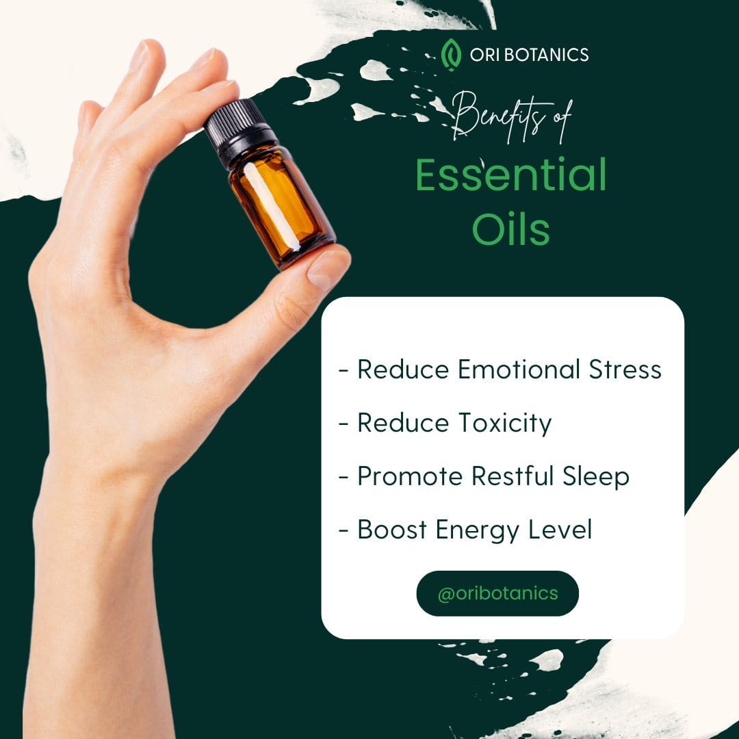 Post 9 by Ori Botanics ® on Instagram (image)