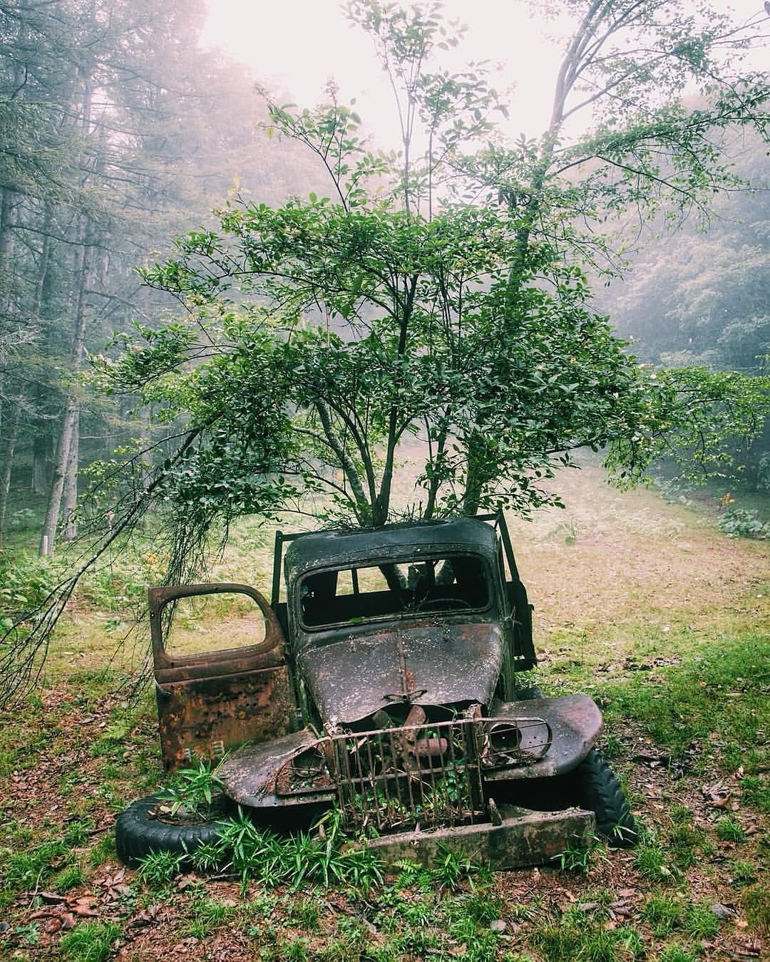 Post 1 by terumin on Instagram (image)