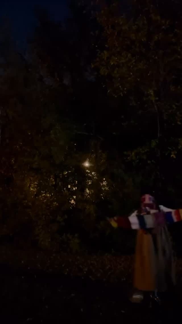 Post 5 by @tonychestnutdesign on Instagram (video)
