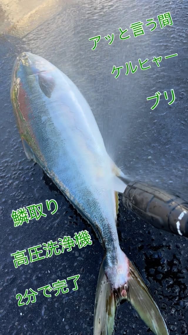 Post 9 by きみどりん on Instagram (video)