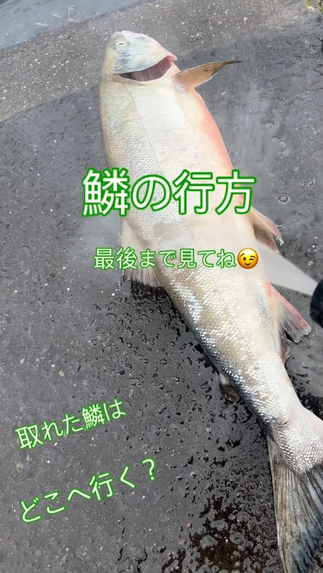 Post 8 by きみどりん on Instagram (video)