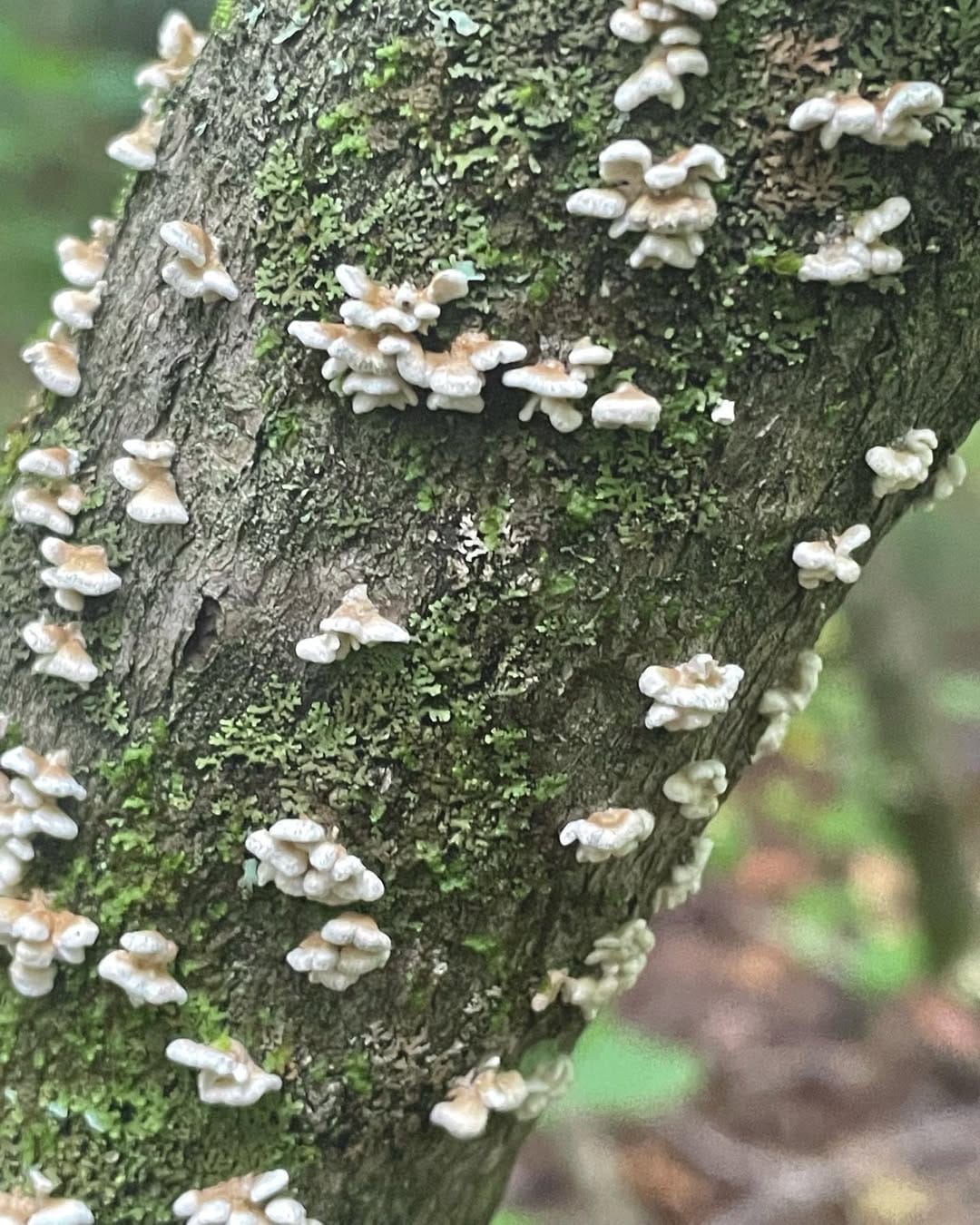 Post 4 by à deux on Instagram (image)