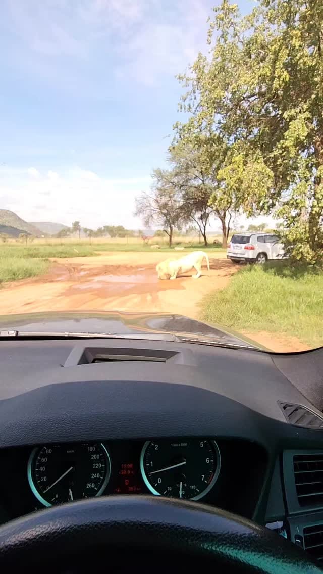 Post 1 by World Traveller 🌍 on Instagram (video)