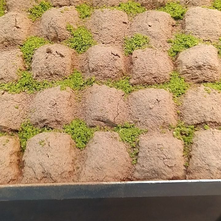 Post 1 by Ümit yaman baklavari on Instagram (video)