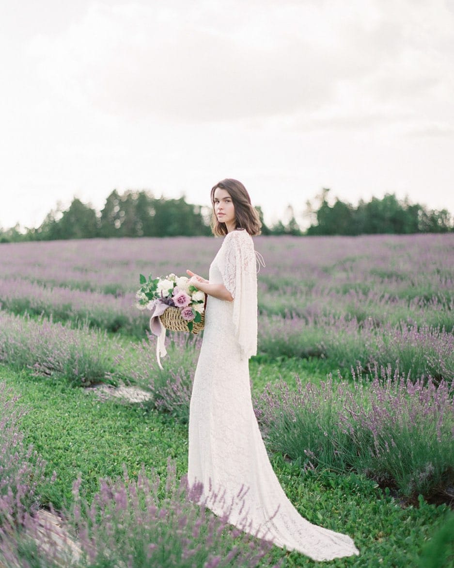 Post 6 by Lauren Polidoro on Instagram (image)